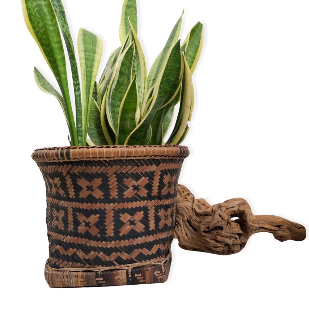 Vintage 70s Woven Rattan Basket Indoor Boho Planter Pot
